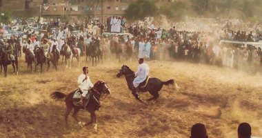 جمال مصر.. قارئ يشارك بصور لـ وداى الحيتان ومرماح وتحطيب الصعيد