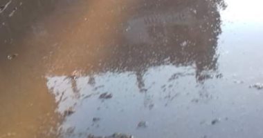 قرية البلاكوس فى البحيرة تعوم على مياه الصرف الصحى