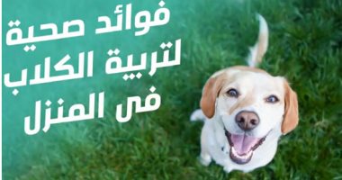 فيديو معلوماتى.. 9 فوائد صحية لتربية الكلاب فى المنزل