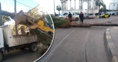 موجة الطقس الغاضبة تضرب المحافظات.. الإسكندرية تشهد أمطار ورياح نوة "الفيضة الكبرى".. وارتفاع الأمواج يجبر حركة الصيد على التوقف.. وقطع لأسلاك الكهرباء وسقوط للأشجار والنخل.. والدفع بوحدات التدخل السريع.. صور 