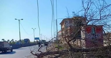 سرعة الرياح تتسبب فى قطع أسلاك الكهرباء ووقف حركة الصيد ببوغاز دمياط