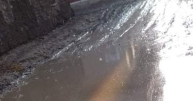 قارئ يشكو انتشار مياه الصرف الصحى بقرية البلاكوس بالبحيرة 