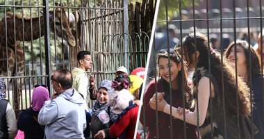 حديقة الحيوان بالجيزة: استقبال 30 ألف زائر حتى الساعة الـ10 صباحًا