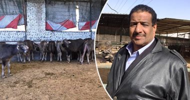 فيديو وصور.. "خالد الجداوى" صاحب أكبر مزرعة عجول برعاية جهاز تنمية المشروعات فى الإسماعيلية.. بدأ بقرض 200 ألف لجنيه وحصل على 5 ملايين لتوسيع نشاطه .. ويؤكد: حققت أرباحًا كبيرة لم يحققها أمثالى بعدة وظائف أخرى‎