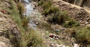 قارئ يشكو وجود ترعة الحامولية بقرية بلاكوس بالبحيرة