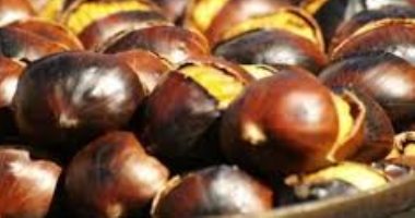 دلع جسمك بأبو فروة.. هيخلصك من وزنك وهيدفيك