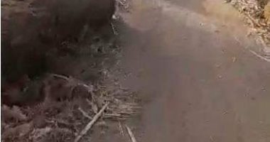 "طريق ترابى ومتعدى عليه" أهالى عزبة المرج بأسيوط يناشدون برصفه