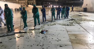 فيديو.. انتشار حشرة صرصور الليل فى ساحة الحرم المكى.. وفرق خاصة لمكافحتة