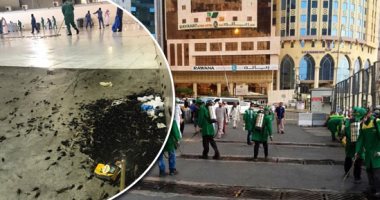 السعودية جاهزة لمواجهة غزو صرصور الليل والجراد.. مكة المكرمة تشكل 22 فرقة مكونة من 138 فردا و111 جهاز مكافحة بشكل طارئ.. تطهير غرف تفتيش الصرف الصحى بساحات الحرم المكى لحماية ضيوف الرحمن.. فيديو وصور