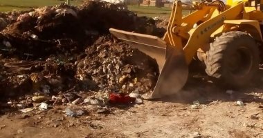 صور..إزالة القمامة بطريق كفر مسعود- طنطا بالغربية إستجابة لشكوى المواطنين 