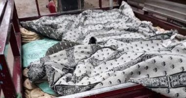 ضبط 25 طن دقيق وكميات كبيرة من المبيدات الزراعية المحظور تداولها بالشرقية