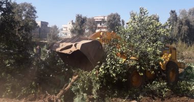 بدء الموجة الـ 12 لإزالة التعديات على أراضى الدولة.. صور