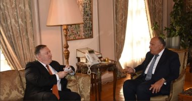 بيان للخارجية: شكرى أطلع نظيره الأمريكى على جهود مكافحة الإرهاب فى مصر
