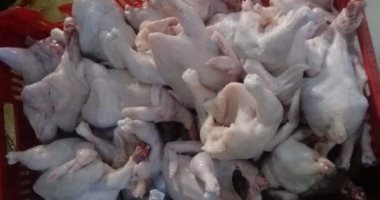 أسعار الفراخ والبيض اليوم الجمعة 25-1-2019