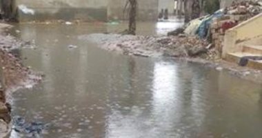 قارئ يطالب بحل مشكلة الصرف الصحى ببرج مغيزل بمحافظة كفر الشيخ