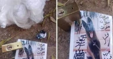 سحر ولا هزار  ..اعرف حكاية كلب معموله عمل بالجرب والمرض
