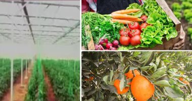 الطقس البارد يصيب 5 أنواع خضار فى الأسواق.. البسلة والكوسة والفاصوليا والباذنجان والفلفل الرومى أبرز المحاصيل المتضررة.. الغرفة التجارية: تحرك أسعارها ما بين 5 إلى 10% وتوافر الطماطم والبصل والبطاطس بسعر مناسب