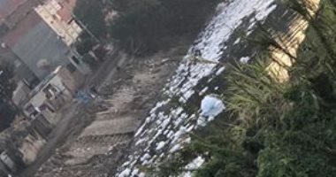 شكوى مصورة ترصد تلوثا ونفوق أسماك بحى كشلة فى دسوق