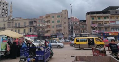 طقس الغربية الآن.. رياح شديدة وسحب كثيفة وسقوط أشجار "صور"