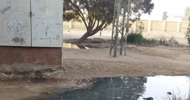 قارئ يشكو من عدم وجود شبكة صرف صحى بقرية شيبن الكوم بالمنوفية