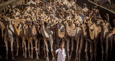 صورة اليوم.. من صغر سنه عارف معنى إنه من قلبه وروحه راجل