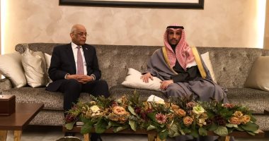 وفد برلمانى يصل الكويت.. ورئيس مجلس الأمة لـ"عبد العال": تحظى بالحب هنا والكل عايز يخطفك