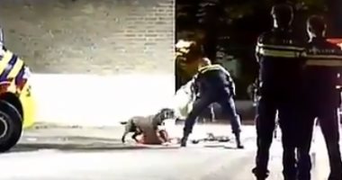 "أحفظ حقك" .. لو حد خوفك باستخدام "كلب" أعرف عقوبته وفقًا للقانون