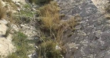 قارئ يشكو ندرة المياه بمشروع تل العمارنة بالمنيا