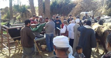 صور.. مديرية الطب البيطرى بسوهاج تنفذ 6 قوافل علاجية بيطرية مجانية