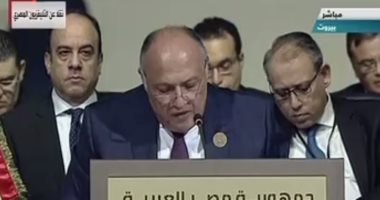 سامح شكرى بقمة بيروت: الطلب على الكهرباء يزيد بالمنطقة العربية بنسبة 84% فى 2020