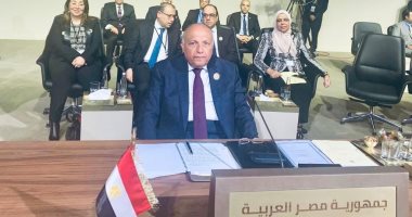 سامح  شكرى يؤكد أهمية العمل العربي المُشترك  لتحقيق التنمية العربية