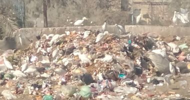 قارئ يشكو انتشار القمامة بقرية صهرجت الكبرى بالدقهلية