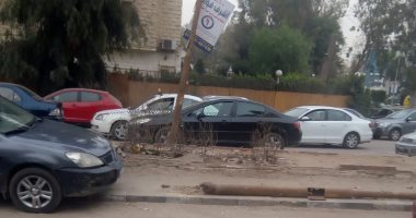 قارئ يشكو من تهالك عامود إنارة فى المعادى الجديدة