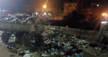 صور..مقلب قمامة فى أرض فضاء أمام الوحدة المحلية بقرية صهرجيت بالدقهلية  