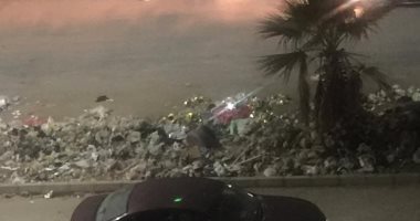 قارئة تشكو من انتشار القمامة بشارع مهدى عرفه بالحى العاشر بمدينه نصر
