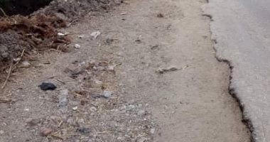قارئ يشكو من تهالك طريق شارع المعهد الدينى بحى الوراق فى الجيزة
