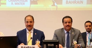 منظمات دولية تشيد بتقرير مملكة البحرين لحقوق الطفل