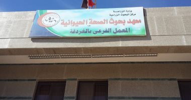 مدير "بيطرى البحر الأحمر": افتتاح أول معهد بحوث لصحة الحيوان بالغردقة اليوم