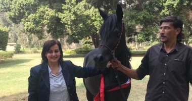 نائب  وزير الزراعة: ملف الخيول سيجد اهتمام كبير خلال عام 2019