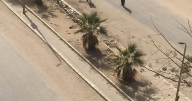 حى شرق مدينة نصر يرفع قمامة شارع مهدى عرفة بالحى العاشر 