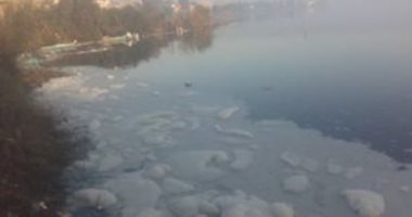  قارئ يرصد انتشار مواد صلبة وتلوث مياة نهر النيل ونفوق الأسماك بالبحيرة