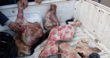 "صور".. الزراعة: ضبط 106 أطنان لحوم فاسدة فى حملات تفتيش بـ 22 محافظة 