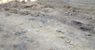قارئ يطالب برصف طريق قرية  انشاص البصل بالشرقية