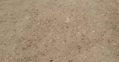 مناشدة باستكمال رصف طريق الرياض فى أسيوط: ترابى ويسبب الكثير من الحوادث