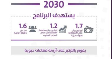 إنفوجراف.. "تطوير الصناعة" السعودى يستهدف استقطاب استثمارات بـ1.7 تريليون ريال