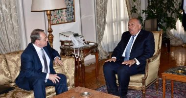 صور.. شكرى يبحث مع مبعوث الرئيس الروسى تطورات الأوضاع فى المنطقة