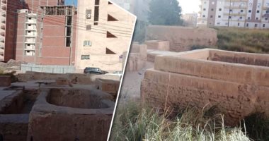 ضبط 1764 قضية تنقيب عن الآثار و733 تعدى على الثروة السمكية