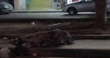 "إحنا معاك".. قارئ يشارك بصورة مشرد بشارع رايل فى حلوان