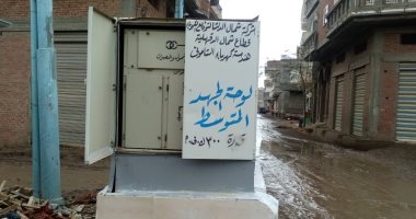 كهرباء شمال الدلتا: عمل الصيانة اللازمة لمغذى قرية الشوامى بالدقهلية