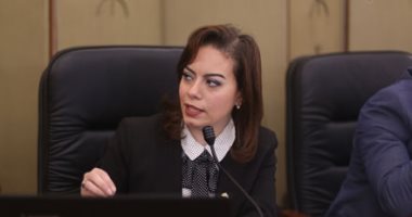 سيلفيا نبيل: موازنة البرامج والأداء المقدمة من التخطيط لا ترقى لمستوى الوزارة